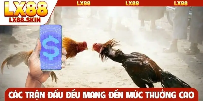 Các trận đấu đều mang đến mức thưởng cao