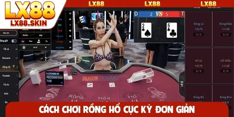 Cách chơi rồng hổ cực kỳ đơn giản