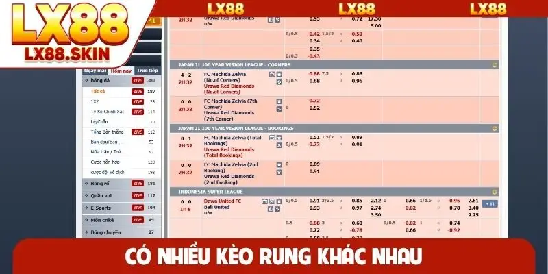 Có nhiều kèo rung khác nhau