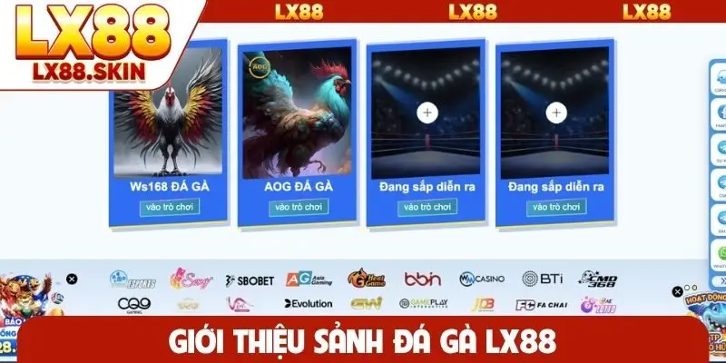Giới thiệu sảnh đá gà LX88